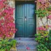 Pink Flower Door Diamond Painting