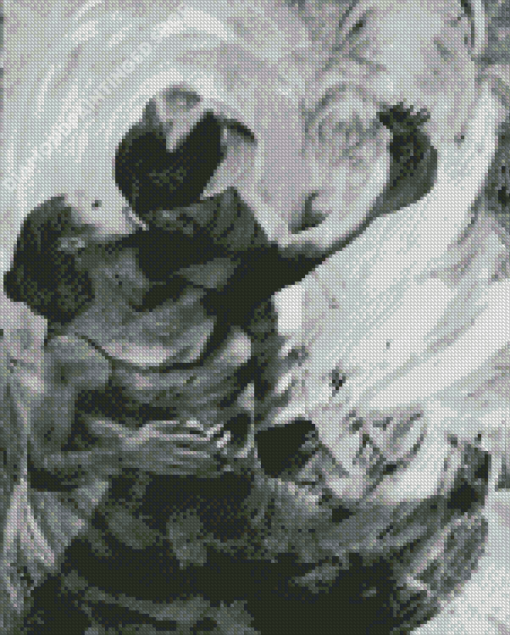 Abstract Black And White Couple Diamond Painting