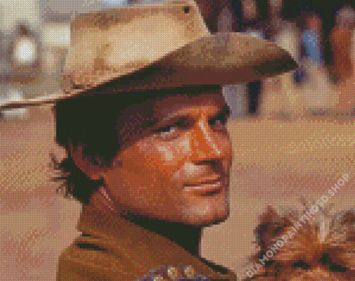 Actor Terence Hill Diamond Paintings