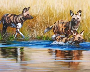 African Hunting Dogs Wildlife Diamond Painting