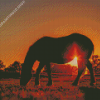 Alone Horse Silhouette At Sunset Diamond Painting