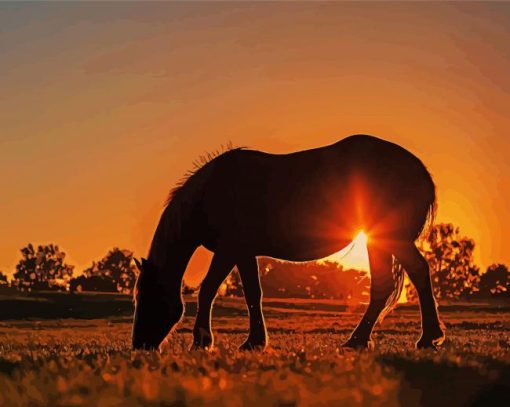 Alone Horse Silhouette At Sunset Diamond Painting