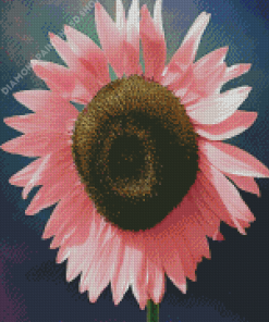 Big Pink Sunflower Diamond Painting