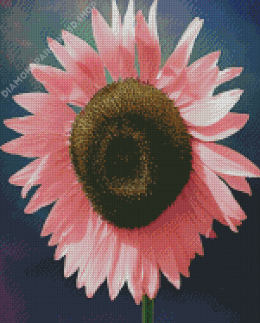 Big Pink Sunflower Diamond Painting