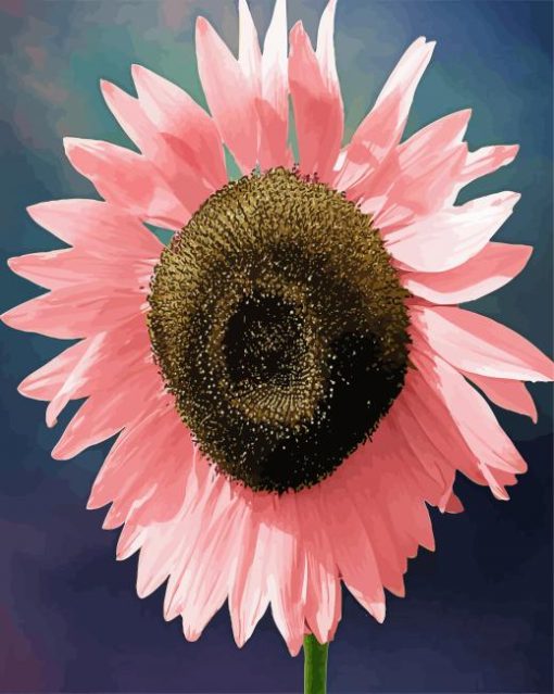 Big Pink Sunflower Diamond Painting