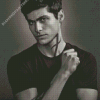 Black And White Alec Lightwood Diamond Paintings