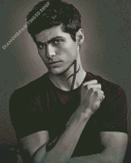 Black And White Alec Lightwood Diamond Paintings