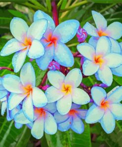 Blue Plumeria Diamond Painting