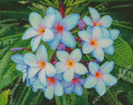 Blue Plumeria Diamond Paintings