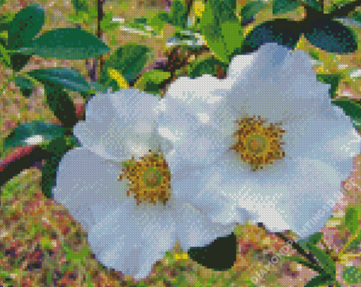 Cherokee Flowering Plant Diamond Paintings