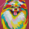 Colorful Pomeranian Pop Art Diamond Painting