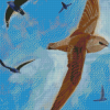 Common Swifts Birds Diamond Paintings