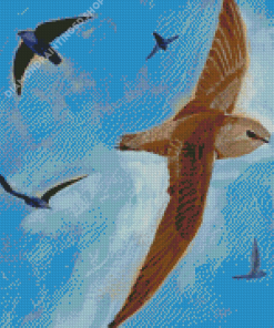 Common Swifts Birds Diamond Paintings