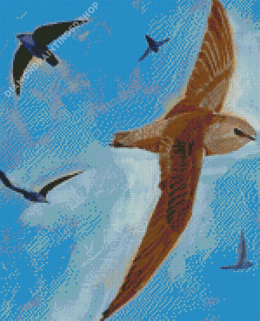 Common Swifts Birds Diamond Paintings