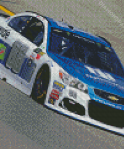 Earnhardt Jr 88 Diamond Painting