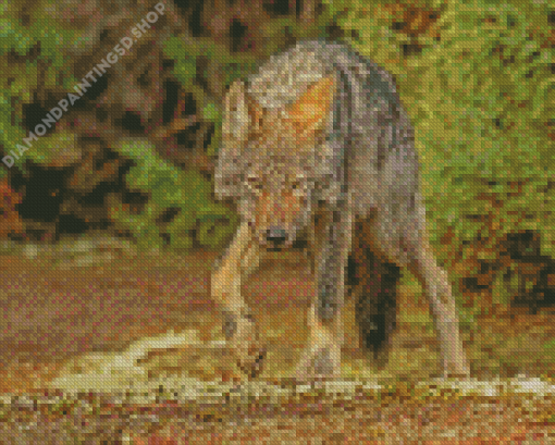 Eastern Wolf Diamond Painting