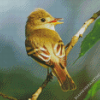 Flycatcher Bird Diamond Paintings