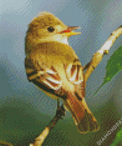 Flycatcher Bird Diamond Paintings