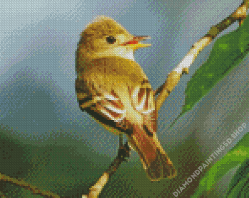 Flycatcher Bird Diamond Paintings