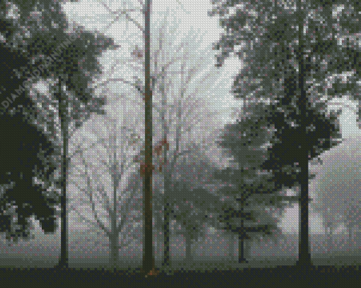 Foggy Forest Woods Diamond Painting