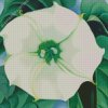 Green Flower Diamond Painting