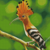 Hoopoe Bird Illustration Diamond Painting