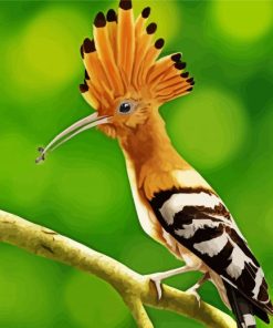 Hoopoe Bird Illustration Diamond Painting