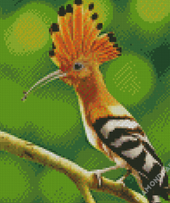 Hoopoe Bird Illustration Diamond Painting