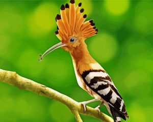 Hoopoe Bird Illustration Diamond Painting