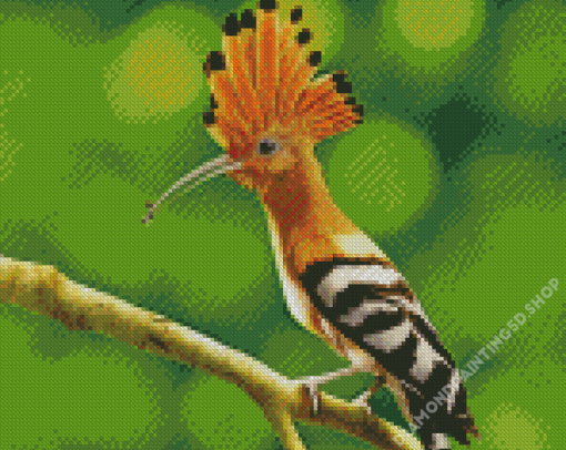 Hoopoe Bird Illustration Diamond Painting