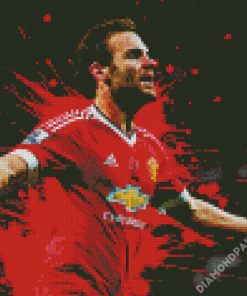 Juan Mata Diamond Paintings