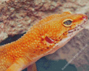 Leopard Desert Gecko Diamond Painting