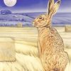 Moon Gazing Hare Diamond Painting