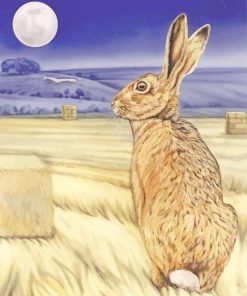 Moon Gazing Hare Diamond Painting