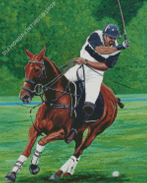 Polo Player Diamond Paintings