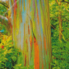 Rainbow Eucalyptus Diamond Paintings