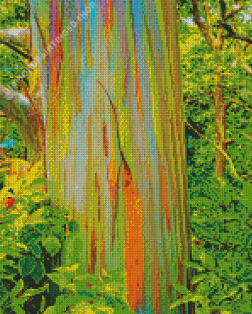 Rainbow Eucalyptus Diamond Paintings