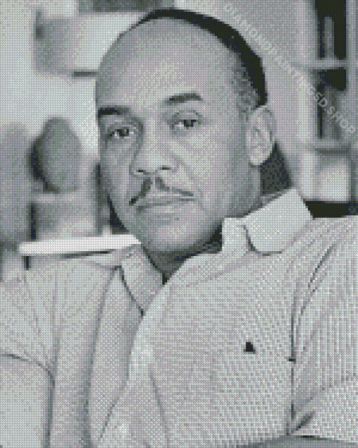 Ralph Ellison Diamond Painting