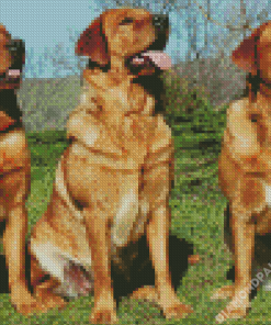 Red Fox Labrador Dog Diamond Paintings