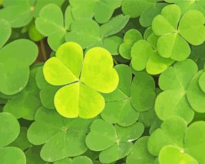 Shamrocks Leaves Diamond Painting