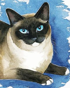 Siamese Snowshoe Diamond Painting