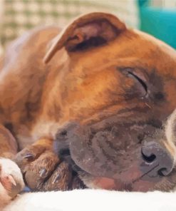 Sleepy Brindle Pitbull Diamond Painting