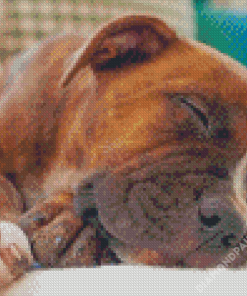 Sleepy Brindle Pitbull Diamond Paintings