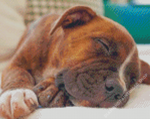 Sleepy Brindle Pitbull Diamond Paintings