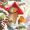 Snow Christmas Robin Birds House Diamond Painting