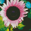 The Pink Sunflower Diamond Painting