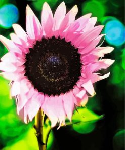 The Pink Sunflower Diamond Painting