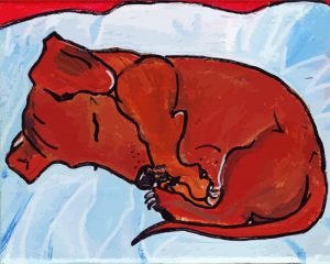 The Sleeping Dachshund Diamond Painting