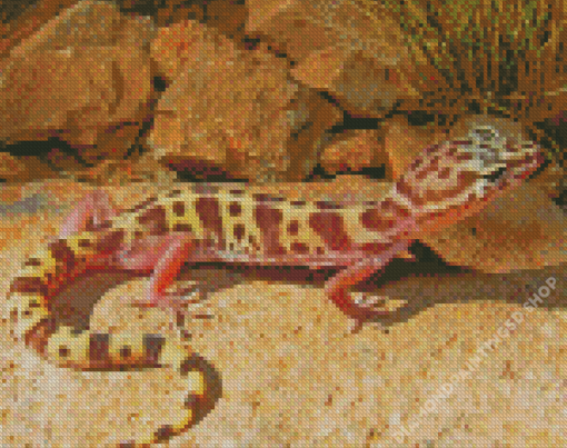 Western Desert Gecko Reptile Diamond Painting