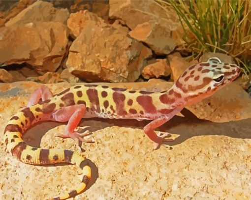 Western Desert Gecko Reptile Diamond Painting